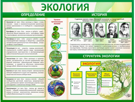 Стенды и плакаты по биологии и экологии